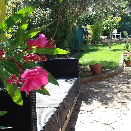 Jolie Provencale Avec Piscine Et Vue 라시오타