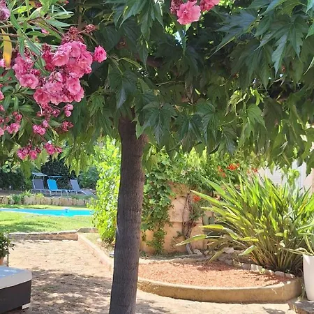 Jolie Provencale Avec Piscine Et Vue 펜션 라시오타